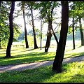 Park w Szczygłowicach...(Knurów, woj śląskie)..