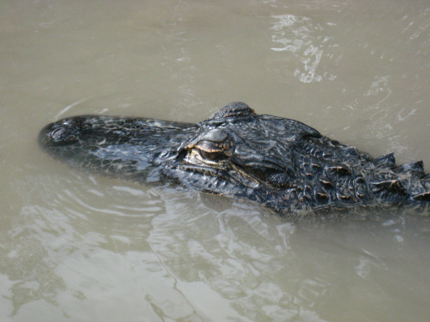 Everglades National Park