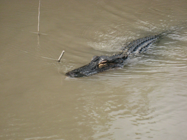 Everglades National Park