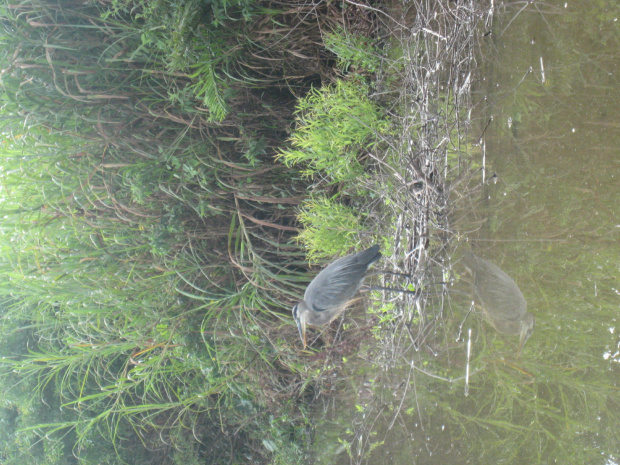 Everglades National Park