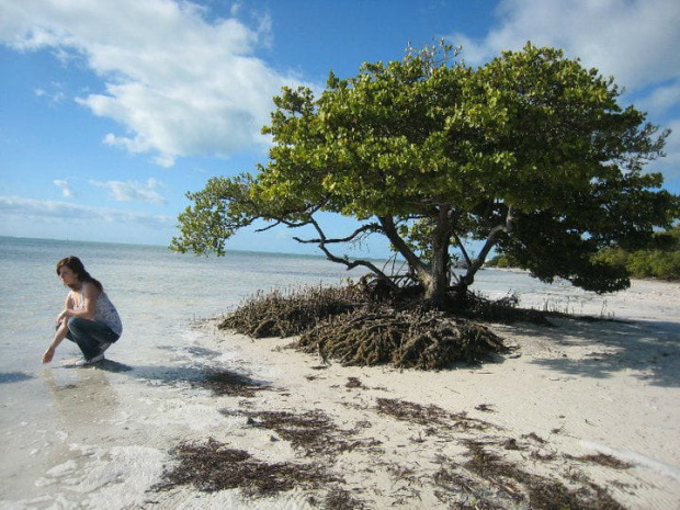 Bahia Honda State Park