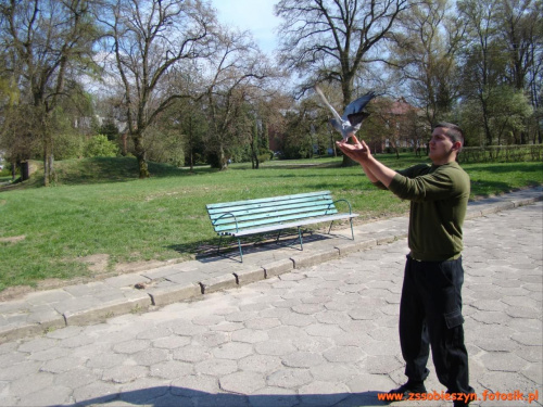 Jak dwa gołąbki... #Sobieszyn #Brzozowa