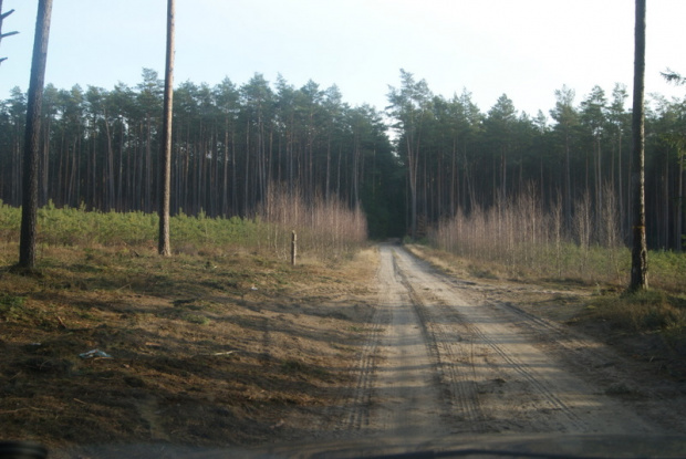 spacerek nad Skotawą