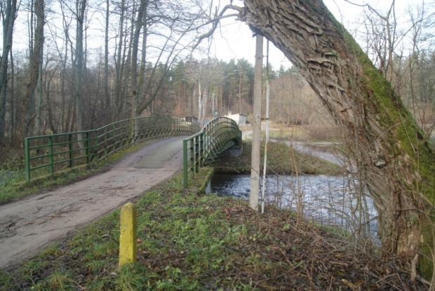 spacerek nad Skotawą