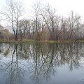 Park zimą - Wilanów