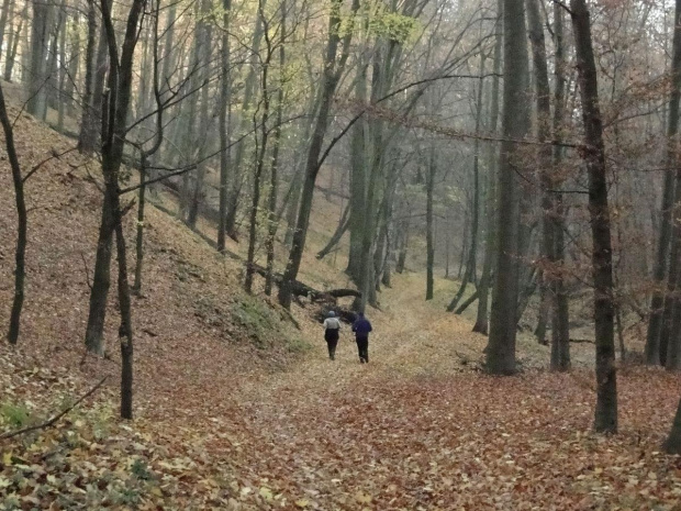 Szwajcaria Godurowska to malowniczy teren który został tak nazywany przez mieszkańców gminy . Miejsce ciszy i spokoju ... Drewniany most, wolno przepływająca woda i piękno przyrody zachwycają amatorów pieszych, rowerowych i konnych wycieczek z całego p...