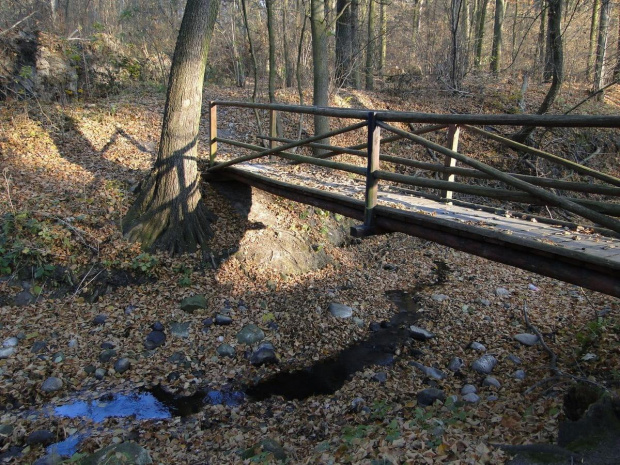 Szwajcaria Godurowska to malowniczy teren który został tak nazywany przez mieszkańców gminy . Miejsce ciszy i spokoju ... Drewniany most, wolno przepływająca woda i piękno przyrody zachwycają amatorów pieszych, rowerowych i konnych wycieczek z całego p...