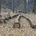 Szwajcaria Godurowska to malowniczy teren który został tak nazywany przez mieszkańców gminy . Miejsce ciszy i spokoju ... Drewniany most, wolno przepływająca woda i piękno przyrody zachwycają amatorów pieszych, rowerowych i konnych wycieczek z całego p...