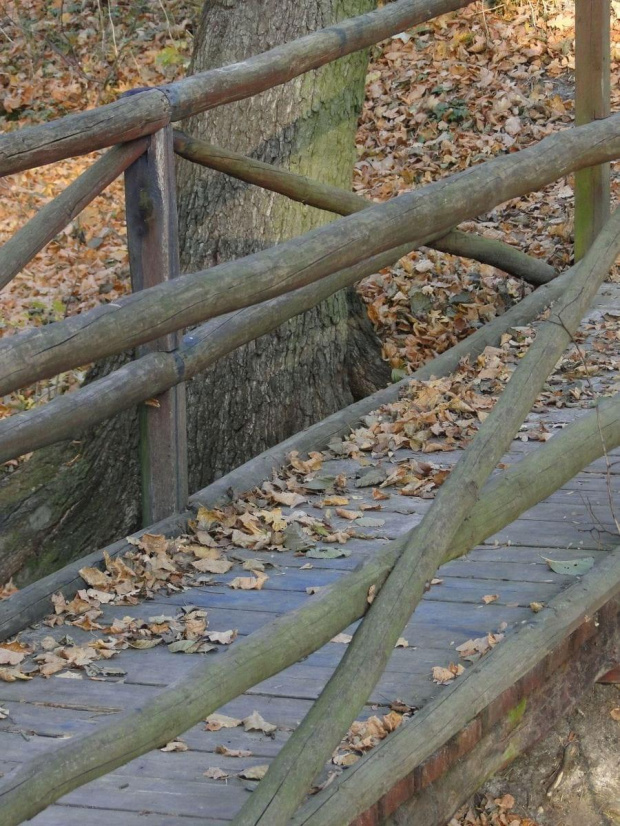 Szwajcaria Godurowska to malowniczy teren który został tak nazywany przez mieszkańców gminy . Miejsce ciszy i spokoju ... Drewniany most, wolno przepływająca woda i piękno przyrody zachwycają amatorów pieszych, rowerowych i konnych wycieczek z całego p...