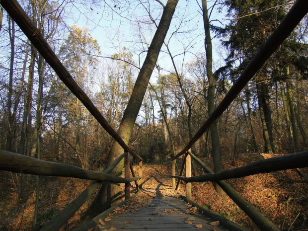 Szwajcaria Godurowska to malowniczy teren który został tak nazywany przez mieszkańców gminy . Miejsce ciszy i spokoju ... Drewniany most, wolno przepływająca woda i piękno przyrody zachwycają amatorów pieszych, rowerowych i konnych wycieczek z całego p...