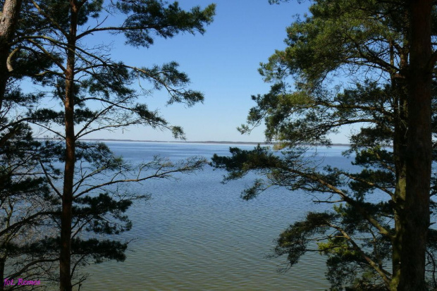 Widok na Jezioro Śniardwy z półwyspu Szeroki Ostrów #Śniardwy