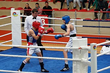 Strefowe eliminacje do Ogólnopolskiej Olimpiady Młodzieży w boksie, Suwałki, Hala OSiR, 3 czerwca. #Boks #Suwałki #Hala #OSiR #turniej