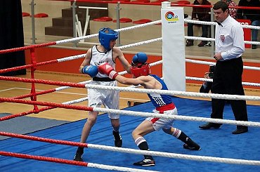 Strefowe eliminacje do Ogólnopolskiej Olimpiady Młodzieży w boksie, Suwałki, Hala OSiR, 3 czerwca. #Boks #Suwałki #Hala #OSiR #turniej
