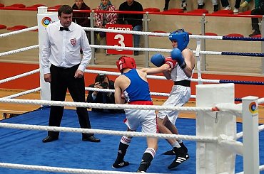 Strefowe eliminacje do Ogólnopolskiej Olimpiady Młodzieży w boksie, Suwałki, Hala OSiR, 3 czerwca. #Boks #Suwałki #Hala #OSiR #turniej