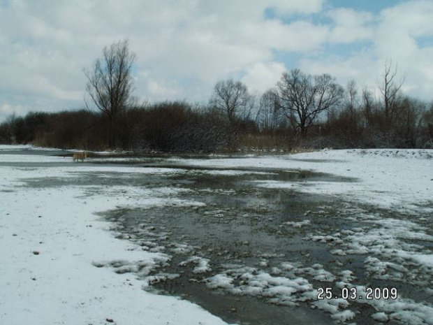 Nie są to bagna Biebrzańskie