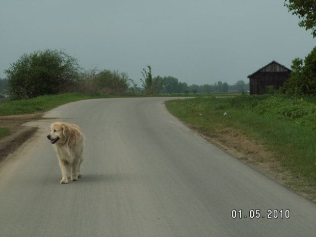 i panie jak zwykle na swoich pozycjach