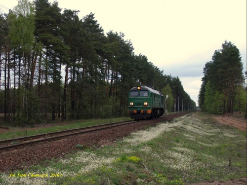 ST44-878 na szlaku Płytnica - Stara Łubianka. Luzak na pełnym biegu w kierunku Piły.