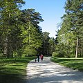 Pałanga, Ogród Botaniczny #Litwa #ogrody