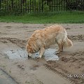 Po takiej rozmowie wiadomo, że łyk wody wysokozmineralizowanej dobrze robi