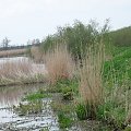 Wzdłuż Kanału Ostródzko-Elbląskiego