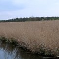 Wzdłuż Kanału Ostródzko-Elbląskiego