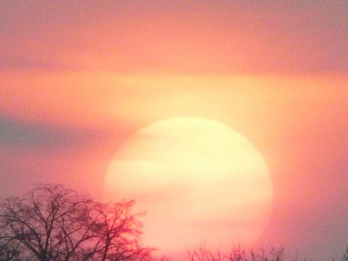 Widać lekko eliptyczny kształt słońca spowodowany refrakcją atmosferyczną. #zachód