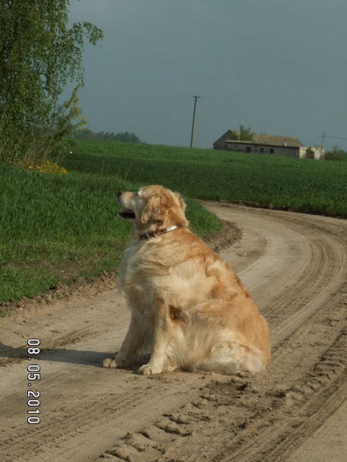 Oryginalne ujęcie