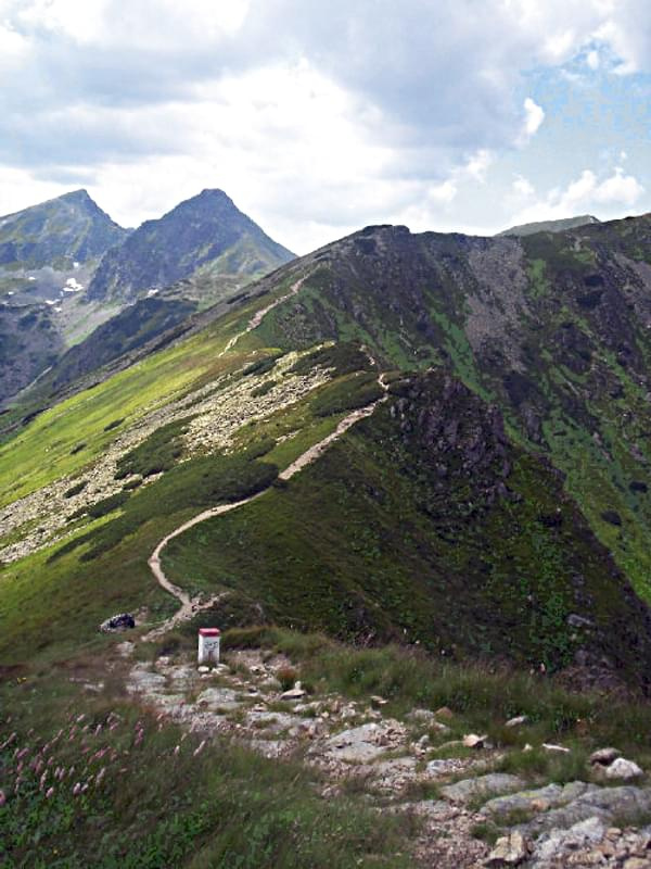 Tatry Zachodnie, szlak graniczny główną granią Tatr, w głębi z lewej Rohacze. #TatryZachidnie