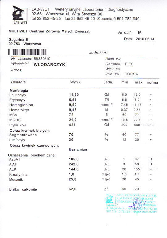 Wyniki Corsy 14. 05. 2010