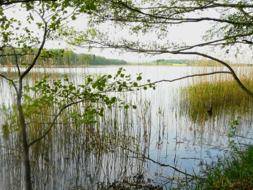 Jezioro Pamiątkowskie. #jeziora