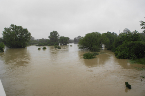 Powódź #powódź #xnifar #rafinski