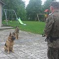 Tresura i bezpieczeństwo