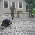 Tresura i bezpieczeństwo