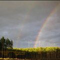 Tęcza sfotografowana przy powrocie z Tropical Islands w Krausnick niedaleko przed granicą w Świecku . Dodam że w Krausnick przed Naszym wyjazdem była burza . Fotki zrobione przez szybę w autokarze ...