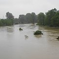 Powódź #powódź #xnifar #rafinski