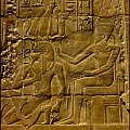 Pismo starożytnego Egiptu opiera się na 3 rodzajach hieroglifów: znakach fonetycznych, ideograficznych oraz determinatywach #egipt #faraon #podroze