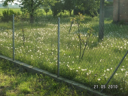 Ogródek po drodze