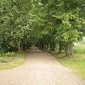 Walne zebranie 22-05-2010