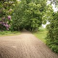 Walne zebranie 22-05-2010
