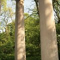 Walne zebranie 22-05-2010