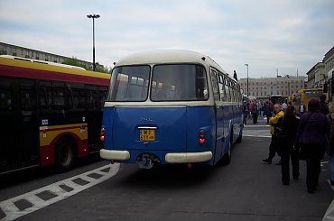 Przede wszystkim pojazdy zabytkowe obsługujące linię A #Ogórek #Ogórki #SAN #JelczMex272 #Jelcz043 #Ikarus260 #Solaris #Skoda #KarosaJelczPR110U #NocMuzeów