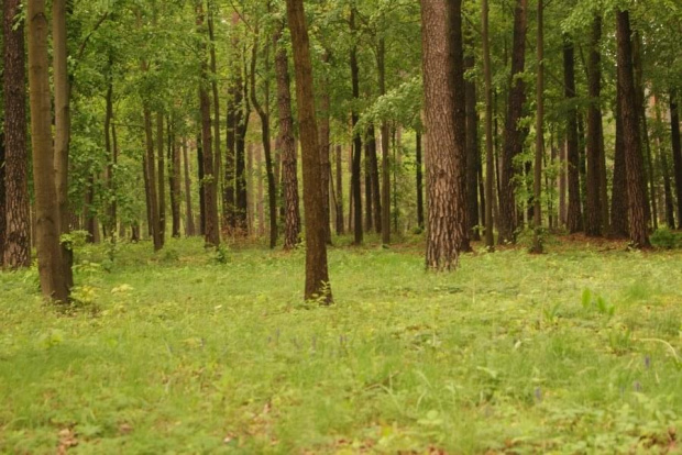 Zdjecia z zielonej szkoly 2010 w jakiejś wsi zabitej dechami #Młodzież