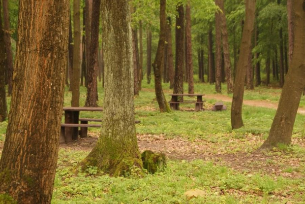 Zdjecia z zielonej szkoly 2010 w jakiejś wsi zabitej dechami #Młodzież