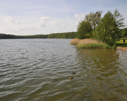 Jezioro - cel wycieczki rowerowej