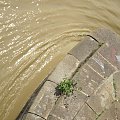 Wisła w okolicy kulminacji fali powodziowej - 780cm osiągnęła około godz. 11:00 22.05.2010 (wszystkie te zdjęcia wykonałem gdzieś pomiędzy godz. 10 a 13). #Wisła #powódź #Warszawa #kulminacja #FalaPowodziowa