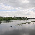 Wysoki poziom wód Warty w Poznaniu