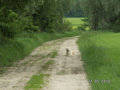 Długo będę na was czekała :?: