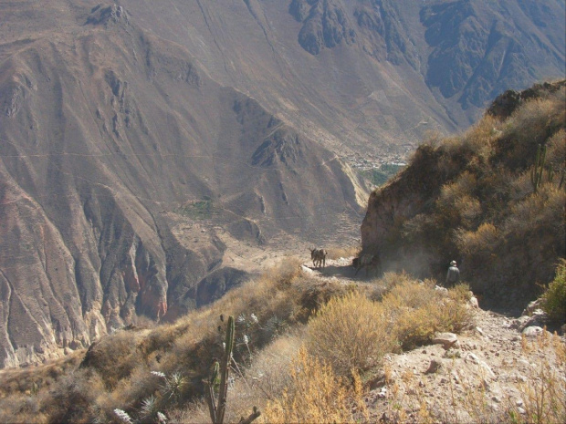 Kanion Colca Peru