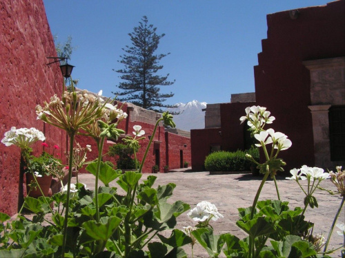 Monasterio Santa Catalina - Arequipa,Peru