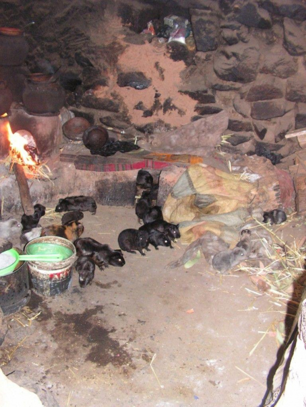 Wyspa Amantani / Jezioro Titicaca - Peru